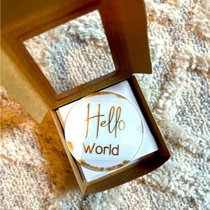 Baby milestone acrylic discs (white and gold)